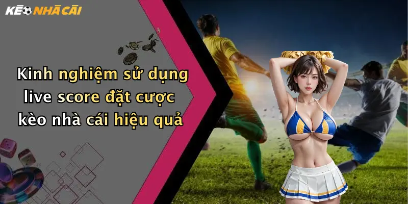 Kinh nghiệm sử dụng live score đặt cược kèo nhà cái hiệu quả