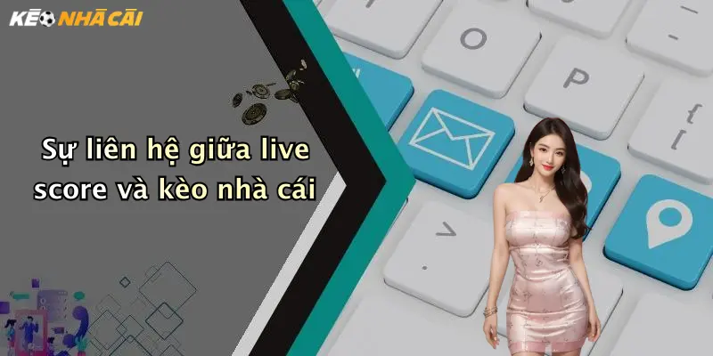 Sự liên hệ giữa live score và kèo nhà cái