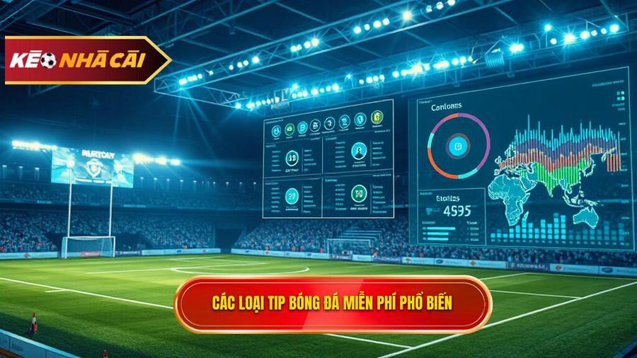 Phân tích các loại Tip bóng đá miễn phí phổ biến hiện nay