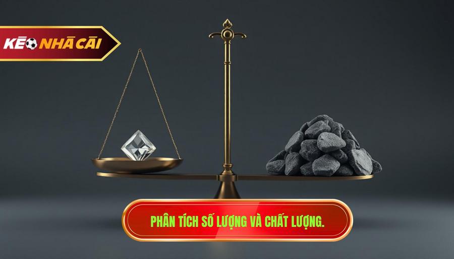 Phân tích số lượng và chất lượng